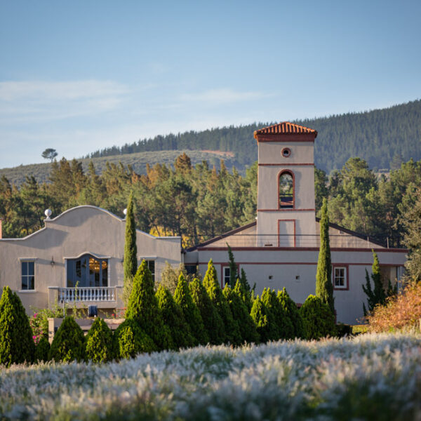 Ashanti Estate, Paarl