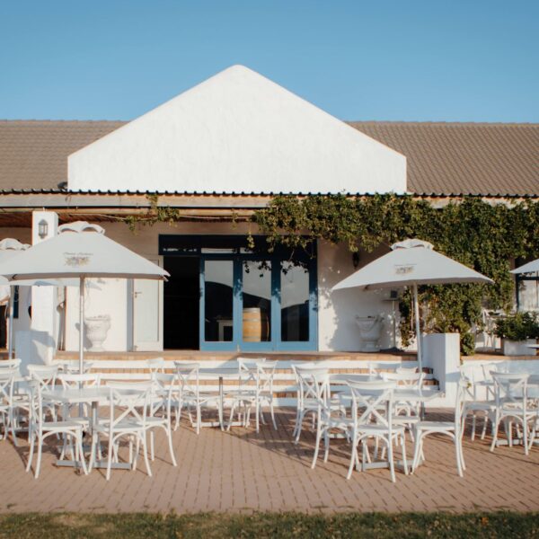 Seven Sisters Vineyard Wedding