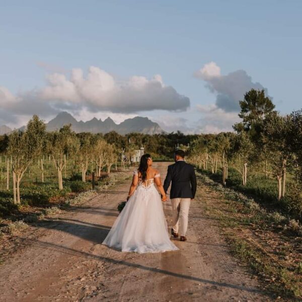 Seven Sisters Vineyard Wedding