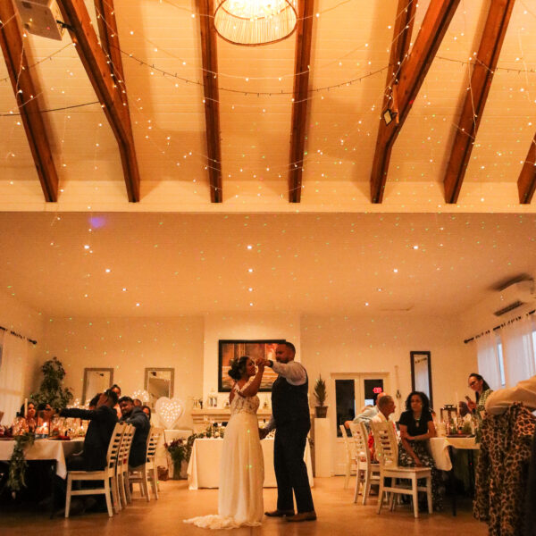 Seven Sisters Vineyard Wedding