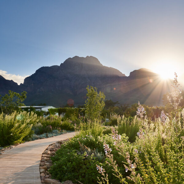 Boschendal Wine Estate, Franschhoek