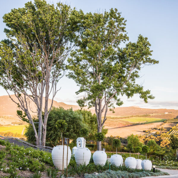 Bona Dea Private Estate, Hemel-en-Aarde Valley