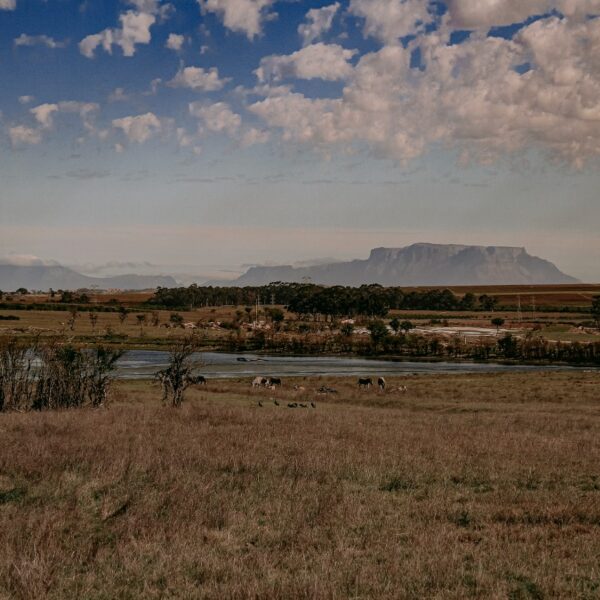 Wijnlanden Uitzicht, Stellenbosch