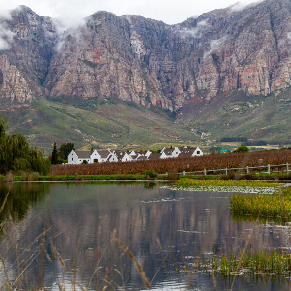 Zorgvliet Wine Estate, Stellenbosch