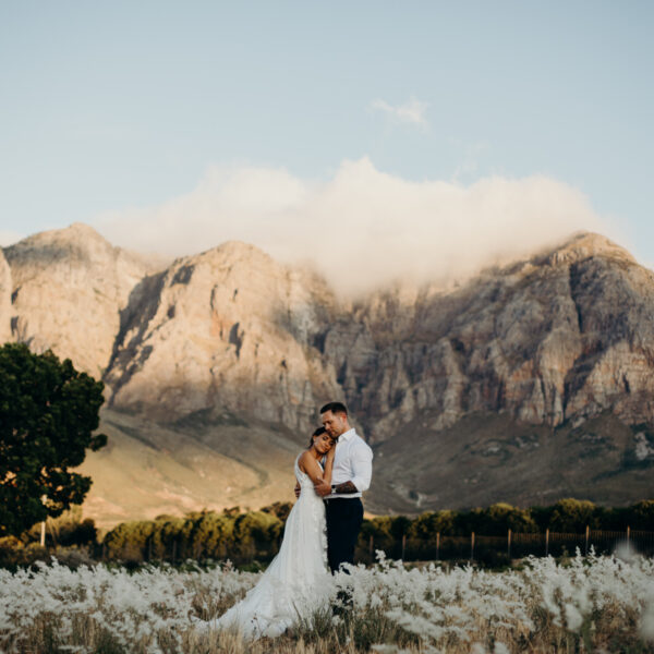 Zorgvliet Wine Estate, Stellenbosch