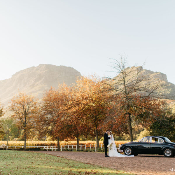 Zorgvliet Wine Estate, Stellenbosch